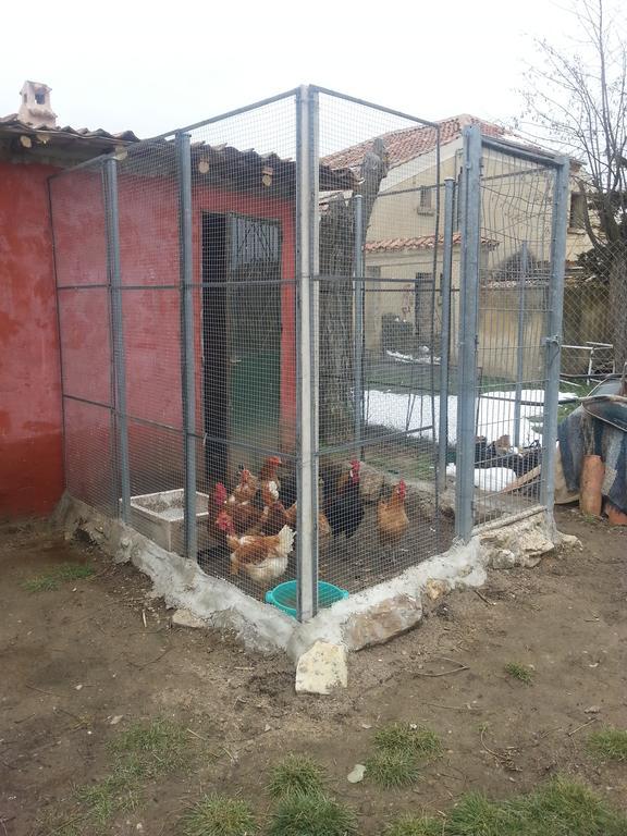 El Refugio Del Dragon Vandrehjem Arcones Eksteriør billede